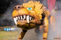 IMG_9662