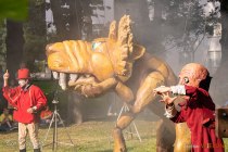 IMG_9739