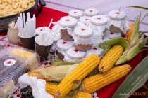 IMG_0042