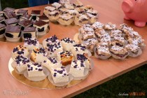 IMG_0085