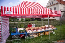 IMG_3975