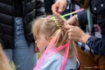 IMG_5309