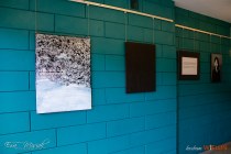 IMG_5437