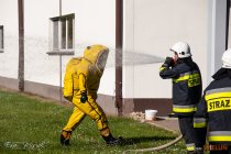 IMG_5940