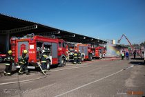IMG_5945
