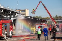 IMG_5946