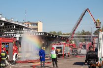 IMG_5951