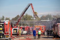 IMG_5961