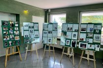 IMG_2460