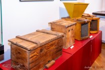 IMG_5141