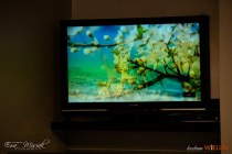 IMG_5201