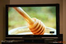 IMG_5202