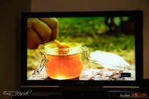 IMG_5203