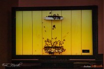 IMG_5204