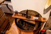 IMG_5223