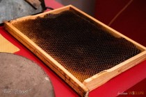 IMG_5227