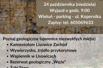 247404160_385596663201894_6660386427354370482_n