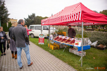 IMG_7670