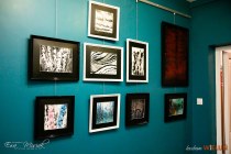 IMG_8253