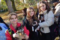 IMG_20211029_105447