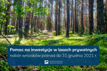 Rusza-pomoc-na-inwestycje-w-lasach-prywatnych