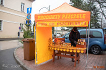 IMG_7198
