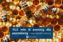 355-mln-zl-pomocy-dla-pszczelarzy-–-zapowiedz-naboru