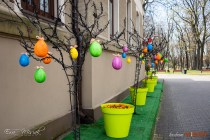 IMG_0043