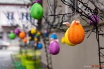 IMG_0048