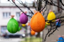 IMG_0049