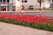 IMG_0063