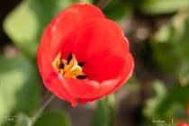 IMG_0065