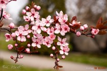 IMG_0067