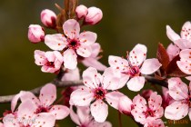 IMG_0068