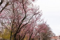 IMG_0073
