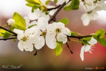 IMG_0076