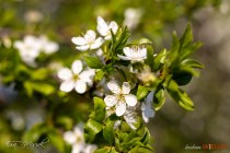 IMG_0095