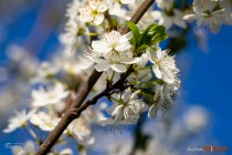 IMG_0097