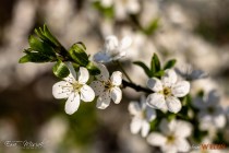 IMG_0098