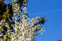 IMG_0101
