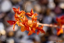 IMG_0110