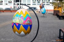 IMG_0470