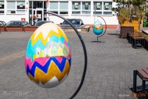 IMG_0471