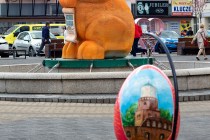 IMG_0489