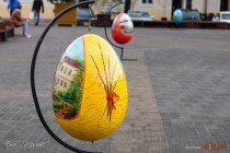 IMG_0496