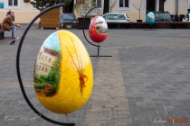 IMG_0497