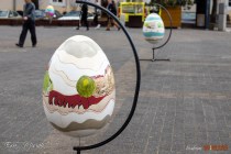 IMG_0503