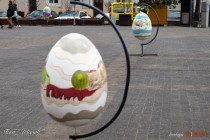 IMG_0504