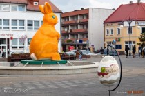 IMG_0505