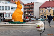 IMG_0507